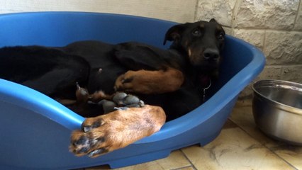 Zaïna en mode tranquille