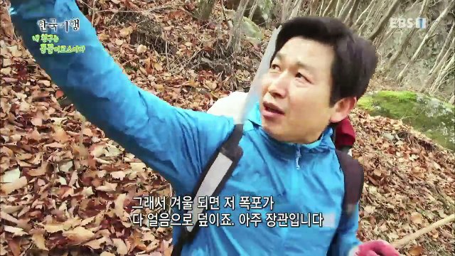 한국기행 - Korea travel_내 친구는 동물이로소이다 1부 당나귀 산타다_#002