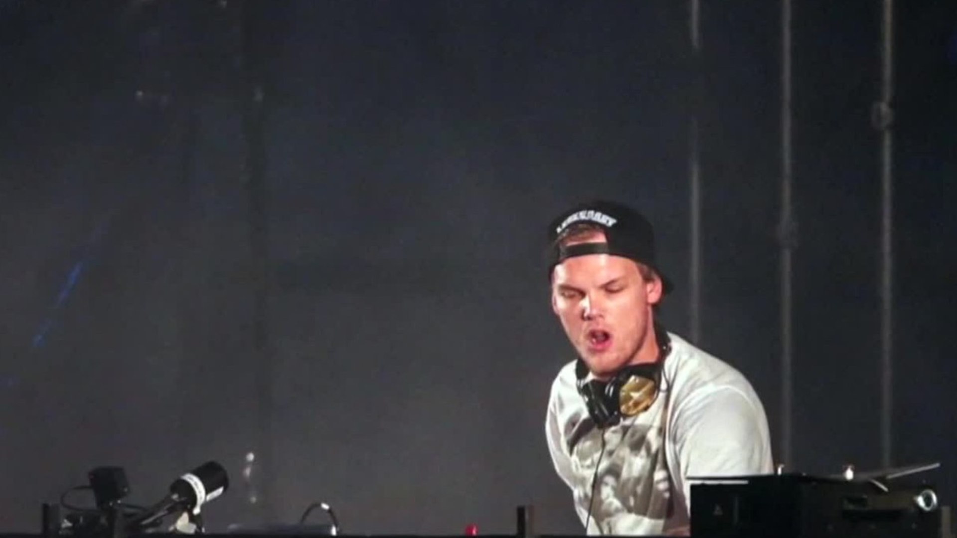 ⁣Avicii's Autopsy Reveals ‘No Criminal Suspicion’ in Death