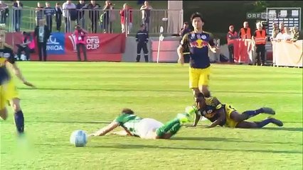 Mattersburg – Salzburg