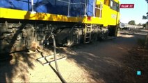 Documental En tren por Australia 2- El Indian Pacific  documentales 2018,documentales,viajar