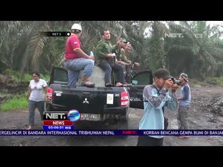 Harimau Bonita yang Menewaskan 2 Warga Akhirnya Ditangkap - NET 5