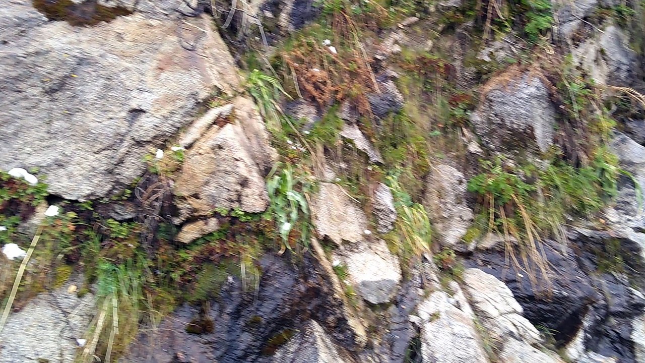 VID_20180416_173412.mp4
