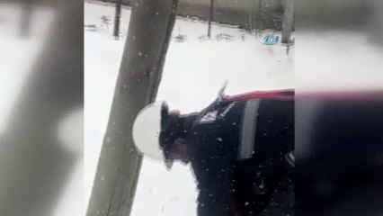 Köpeklerden kaçan Kedi, çıktığı elektrik direğinde 2 gün mahsur kaldı