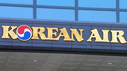 '대한항공' 사명·태극마크 허가 취소 가능할까 / YTN