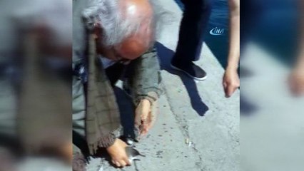 İstanbul Boğazı'nda balıkçı oltasına “Yelkovan kuşları” takıldı