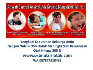 OSB NUTRISI OTAK GRATIS ONGKIR|WA.087877318458