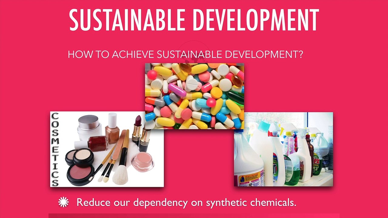 Sustainable Development - Environmental Studies