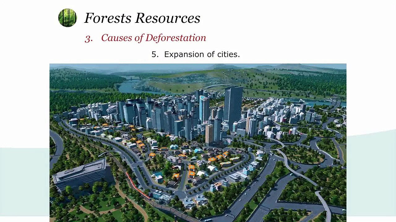 Deforestation - Environmental Studies