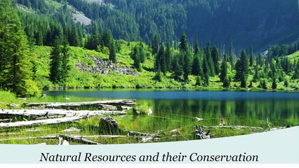 Forest Resources - Environmental Studies