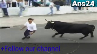 Funny video- bull attack to peoples