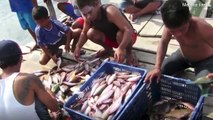 فيديو.. بدو البحر.. قبيلة إندونيسية خارقة للعادة وتتحدى الطبيعة البشرية