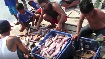 فيديو.. بدو البحر.. قبيلة إندونيسية خارقة للعادة وتتحدى الطبيعة البشرية