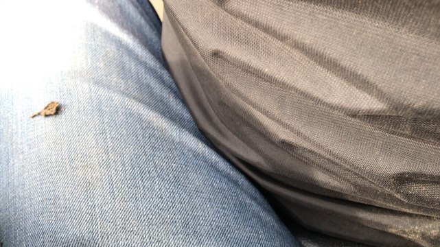 Rando quad pour le Téléthon