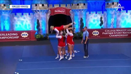 연습에 멍투성이…메달 꿈꾸는 치어리딩 국가대표