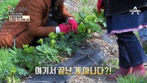 봄내음 가득한 지리산 제철 건강 밥상 공개~