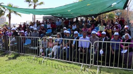 Antalya'da 'Karakucak' güreşleri sahile taşındı