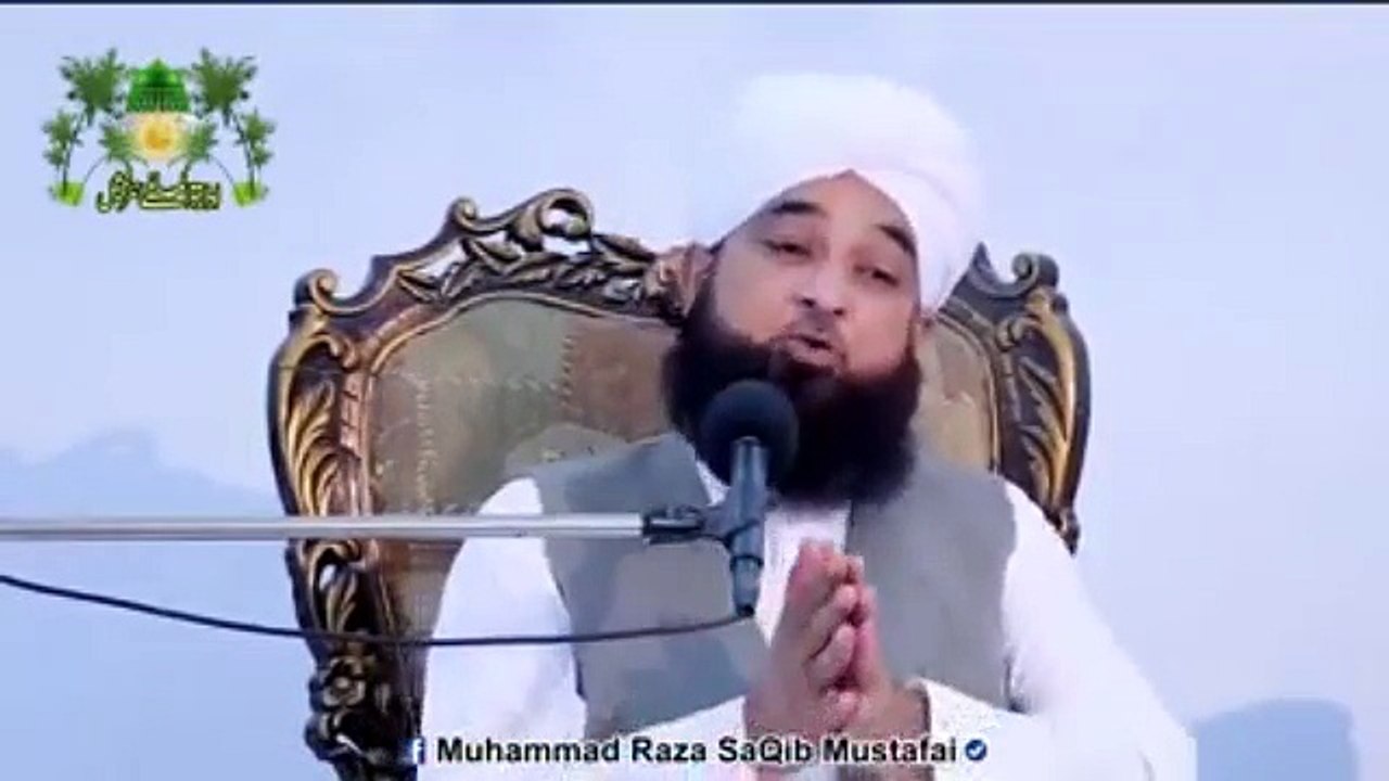 Muhammad Raza Saqib Mustafai (323)