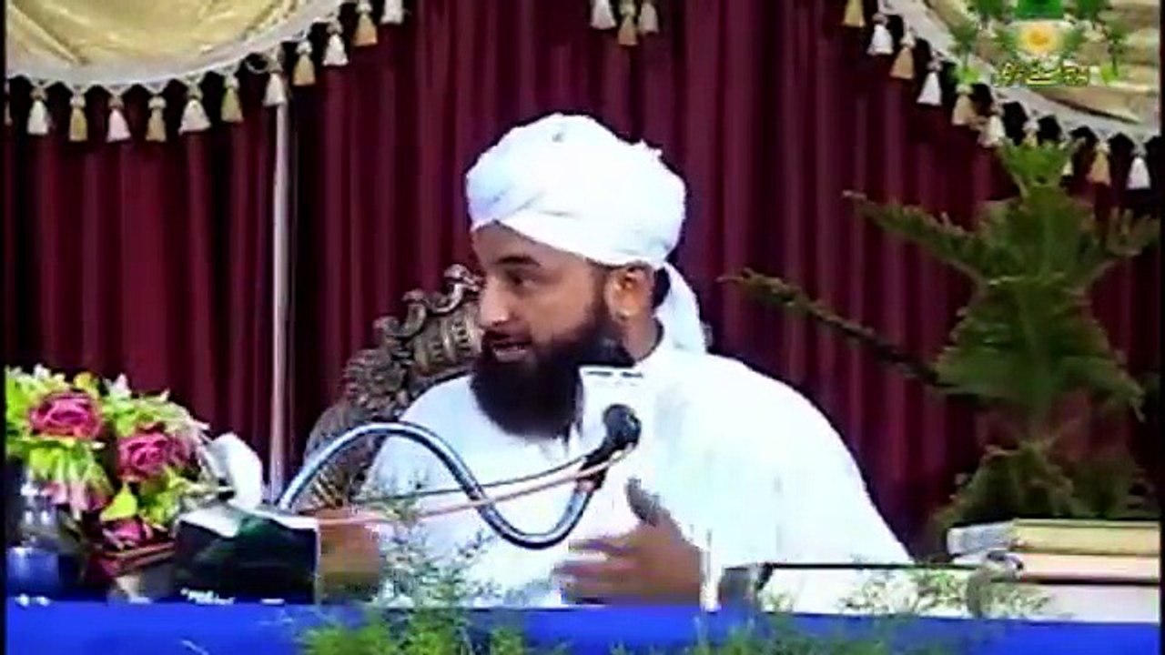 Muhammad Raza Saqib Mustafai (325)