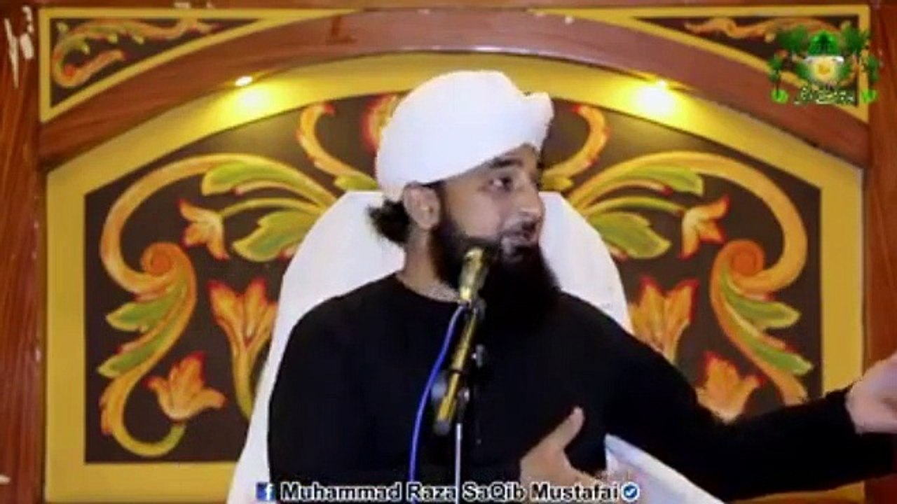 Muhammad Raza Saqib Mustafai (329)