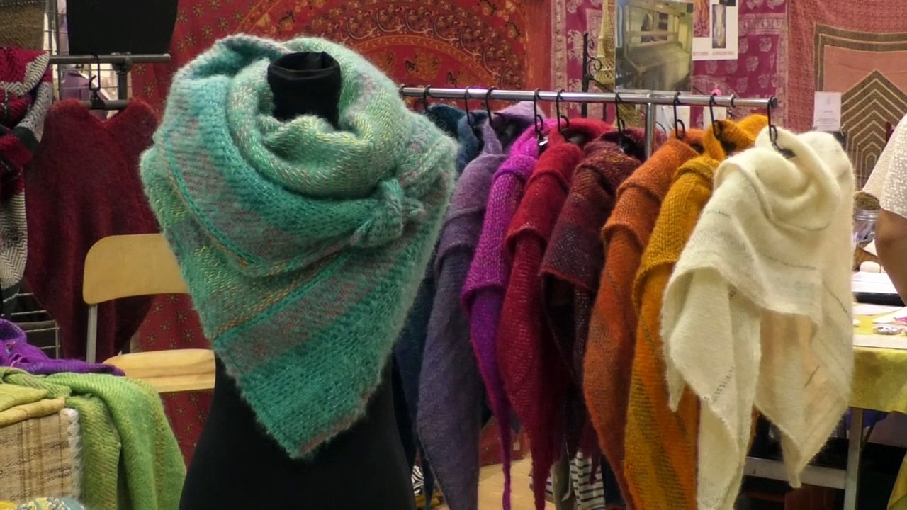 D!CI TV : nouveau succès pour le salon bio de Gap