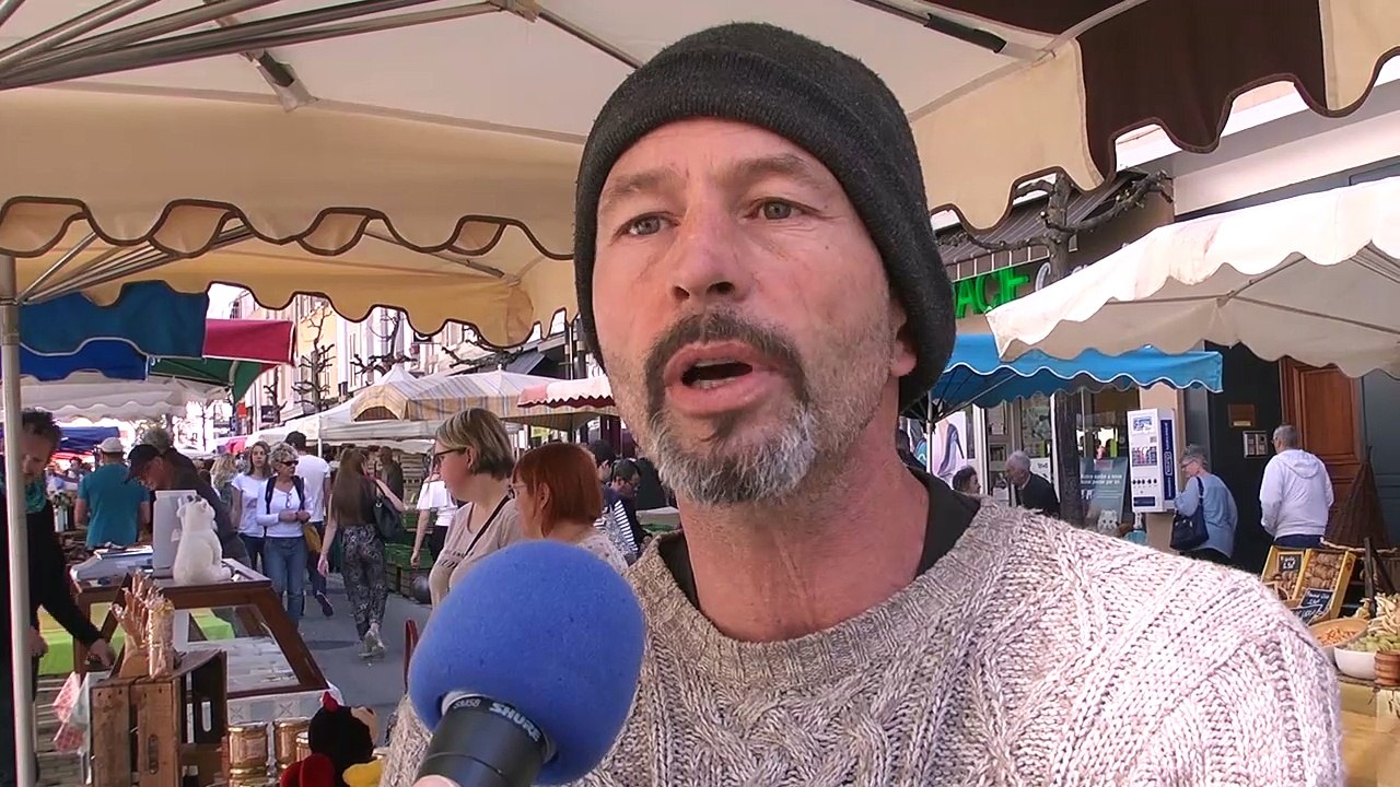 D!CI TV : les apiculteurs tirent la sonnette d'alarme sur la santé des abeilles