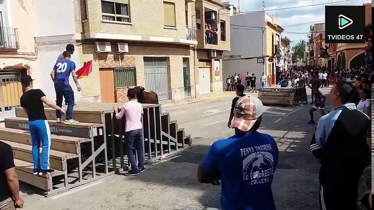 Bullfighting Festival #5 Best Funny Videos (2)