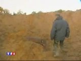 WWII BOMBS FOUND NEAR LE MANS