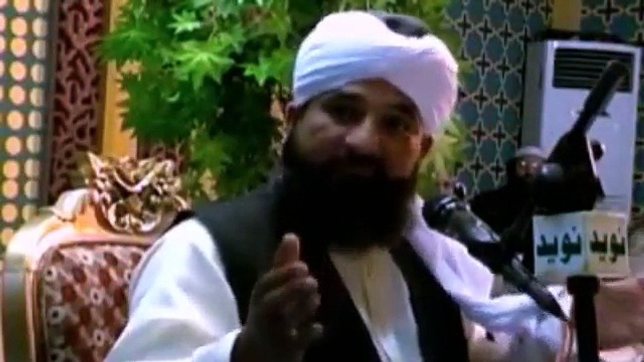 Muhammad Raza Saqib Mustafai (335)