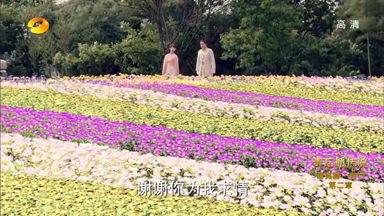 青丘狐传说 12_高清