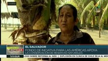 Comunidades salvadoreñas se organizan para conservar los manglares