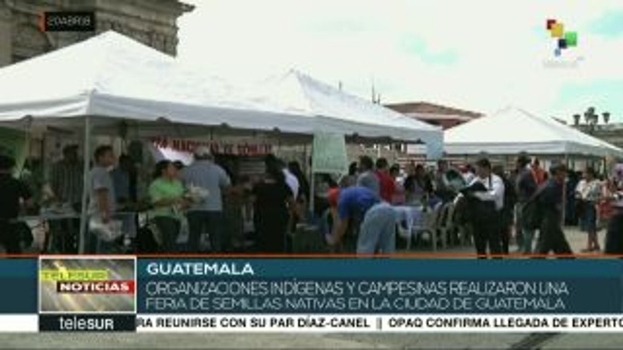 Pueblos originarios de Guatemala realizan feria de semillas nativas