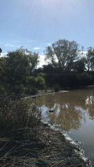 Aussie lake side | Anthony S Casey Singapore