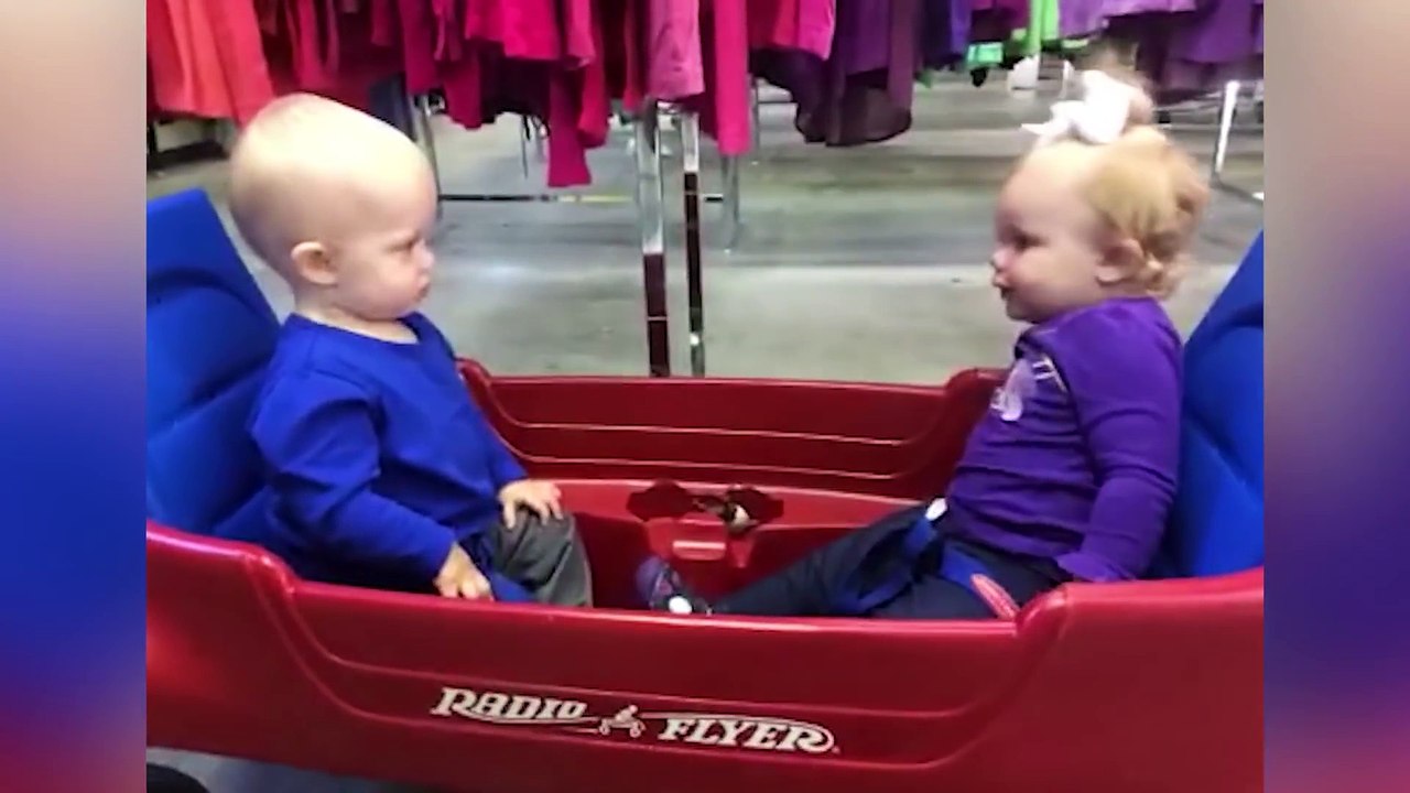funny babies fighting