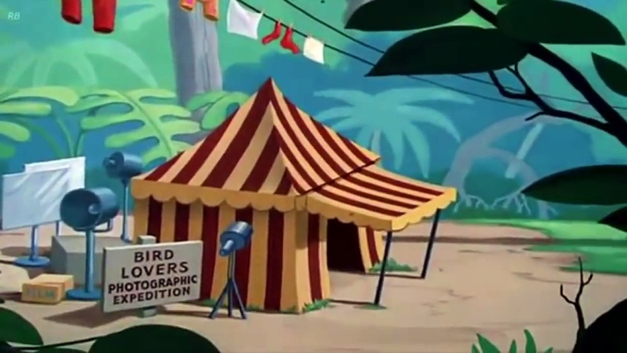 Donald Duck Clown Of The Jungle