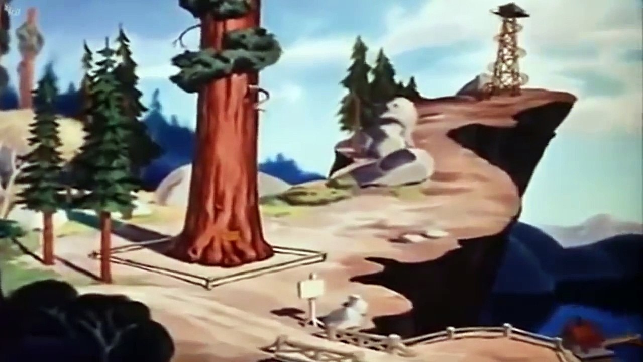 Donald Duck Old Sequoia