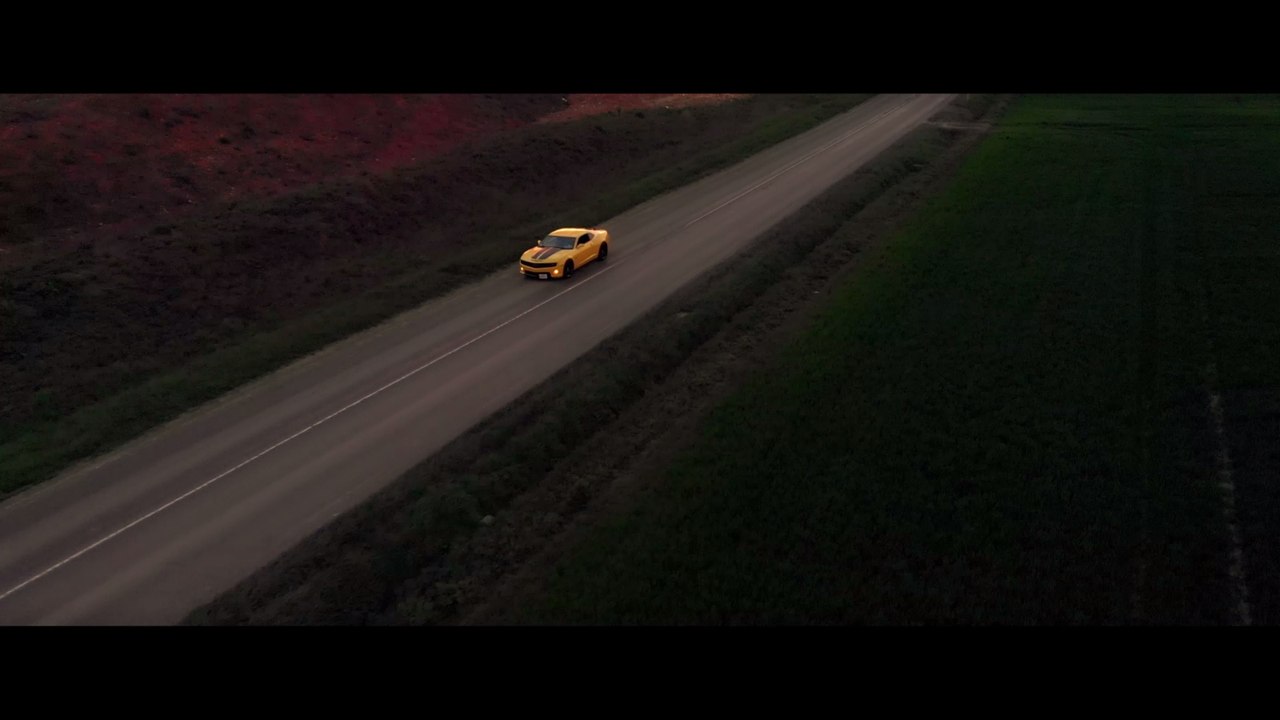 BUMBLEBEE AIR VIEW
