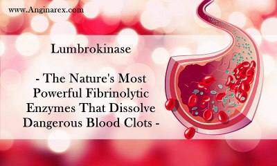 HFL Blood Flow Optimizer Reviews - Does HFL Blood Flow Optimizer Work