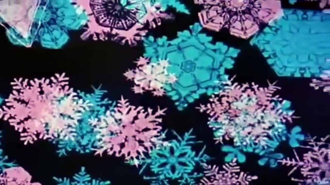 Donald Duck Donald In Mathmagic Land