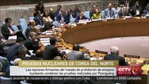 Países firmantes de tratado de prohibición de ensayos nucleares condenan pruebas de Pyongyang