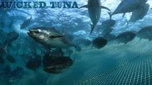 Wicked Tuna S07E07 | Wicked Tuna The Fleet Strikes Back FULL EPISODE