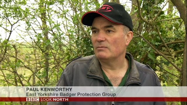 BBC1_Look North (East Yorkshire & Lincolnshire) 22Apr18 - badger killings in East Yorkshire