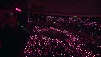 Catch me_APINK 3rd Concert Pink Party (2016)