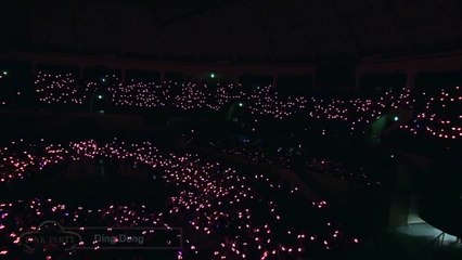 Ding Dong_APINK 3rd Concert Pink Party (2016)