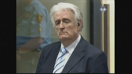 Radovan Karadzic appeals 40 year jail sentence