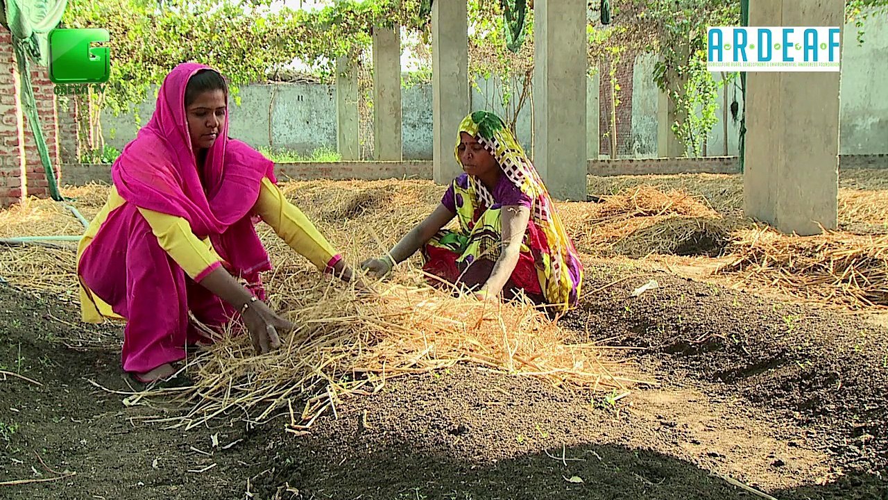 Organic Farming under NCOF – Why do we need to do organic farming?