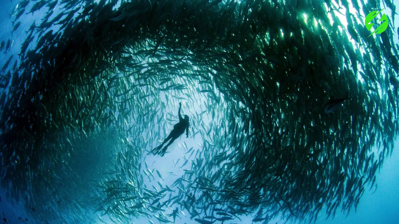 Les images les plus folles est magnifique que la nature nous a offert