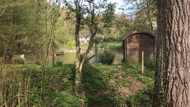 Quad nature pour le Téléthon