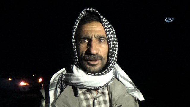 Otomobil koyun sürüsüne daldı 10 koyun telef oldu