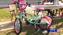 Eight-Year-Old Girl Holds Lemonade Stand to Save Toys `R` Us